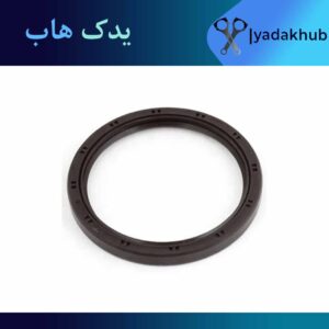 کاسه نمد ته میل لنگ آوانته