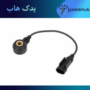 ناک سنسور ورنا