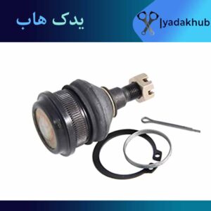 سیبک طبق آوانته